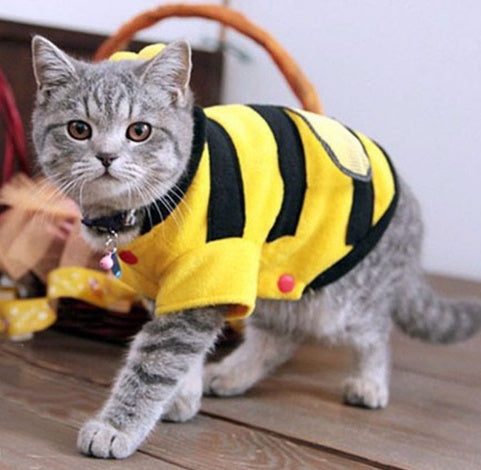 Cute Bees Dog Cat Clothes