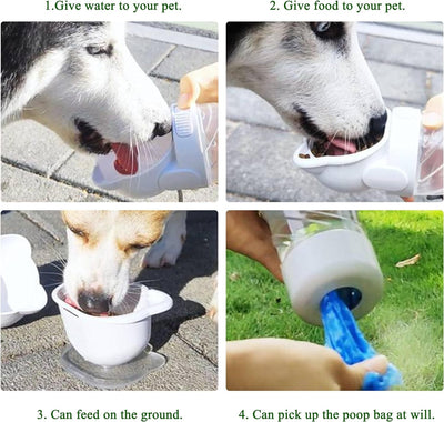 3 In 1 Pet Water Bottle
