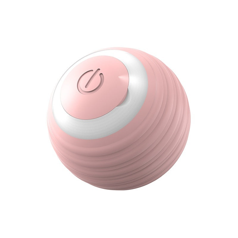 Ball Electronic Interactive Pet Toy