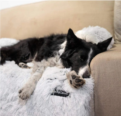 Removable Pet Dog Mat
