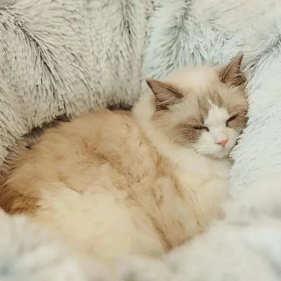 Cats Bed Christmas